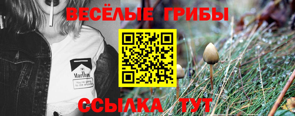Псилоцибиновые грибы мухоморы Зеленогорск
