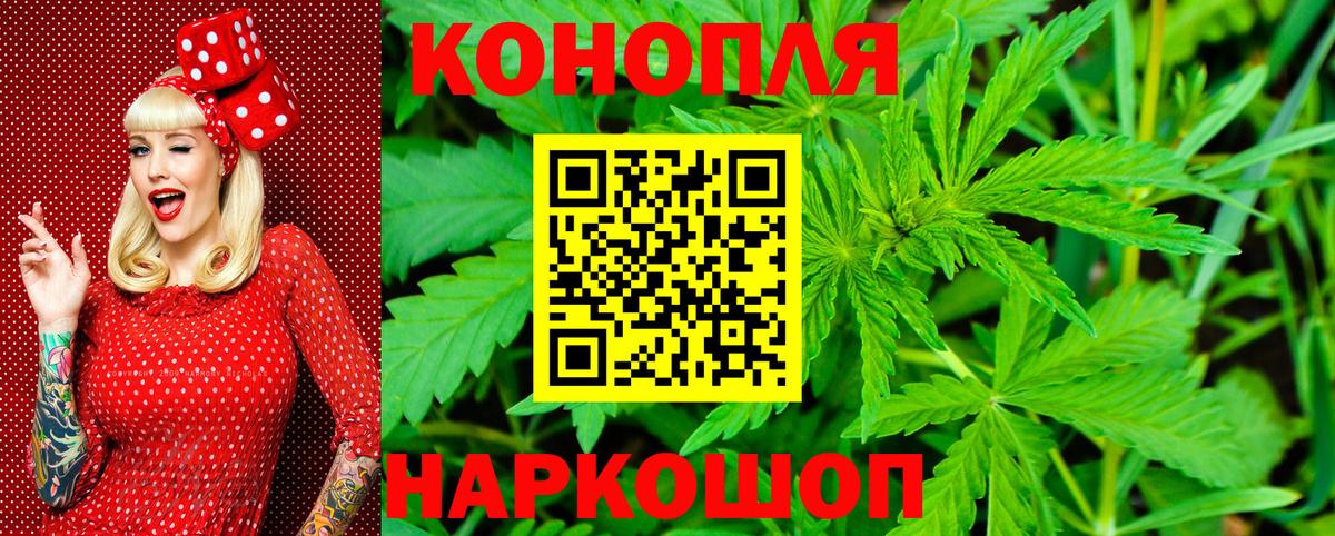 Конопля семена Зеленогорск
